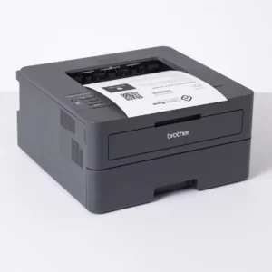 Brother HL-L2445dw laser printer, black and white printing